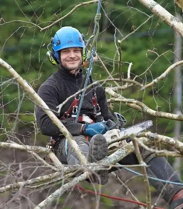Jaufret Marion, élagueur grimpeur certifié, en grimpe encordée dans un arbre des Yvelines Jaufret Marion, élagueur grimpeur certifié, en grimpe encordée dans un arbre des Yvelines